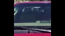 Американец проехал 65 км в автомобиле с тысячами пчел
