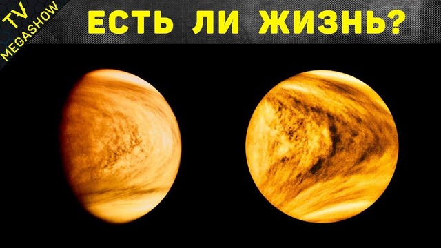Пора узнать все о планете Венера