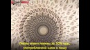Улей Вольфганга Баттресса