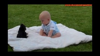 Маленький ребёнок и щеночек