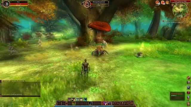 Лучшие истории из MMO – игр. Часть 9. Топ событий из Final Fantasy XI, WoW, Ultima и др