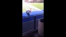 Вот оно – настоящее невезение