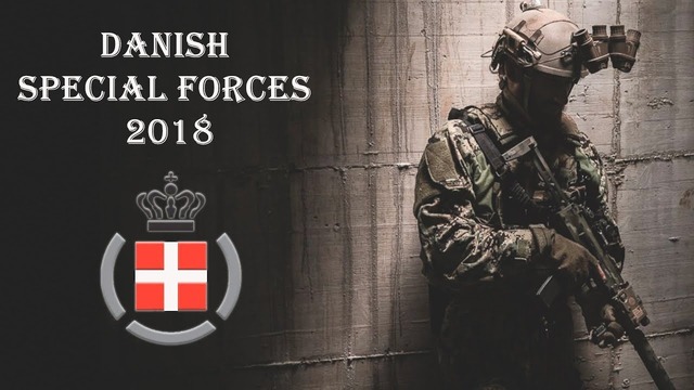 Специальные вооружённые силы Дании – Hunters