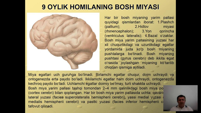 2 курс. Анатомия. Охирги мия, унинг ёшга доир ўзгаришлари