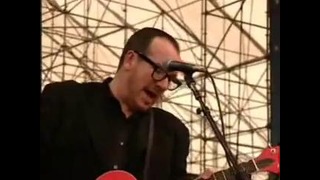Elvis Costello – Allison (LIVE Woodstock 99’)