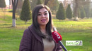 SAYLOV 2019