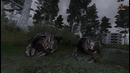 Обзор S.T.A.L.K.E.R Волей Случая