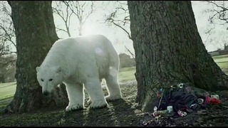 Белый медведь, Джуд Лоу и Radiohead