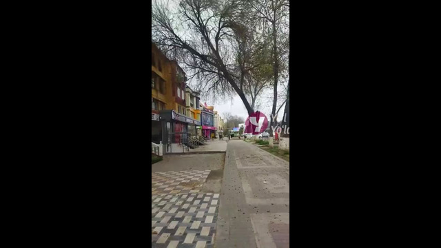 Toshkentda daraxt piyodalar yoʻlagiga quladi | В Ташкенте дерево упало на тротуар