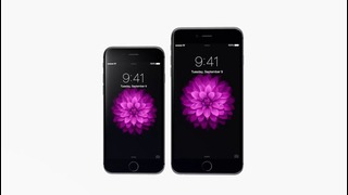 Apple – iPhone 6 and iPhone 6 Plus – Seamless
