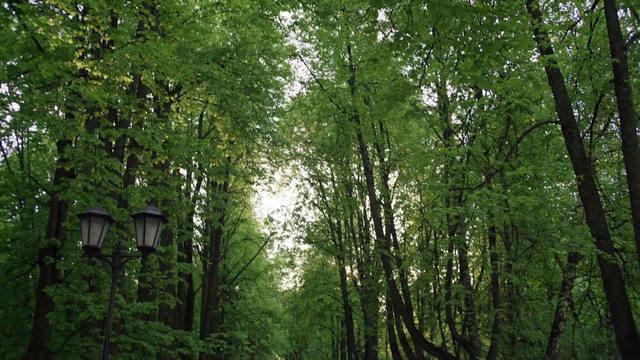 Цыганочка – 4 серия | 2026
