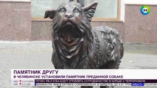 Русский «Хатико»: челябинского пса Беляша увековечили в памятнике – МИР 24