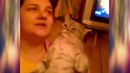 Кот подпевает своей хозяйке. вот это дуэт