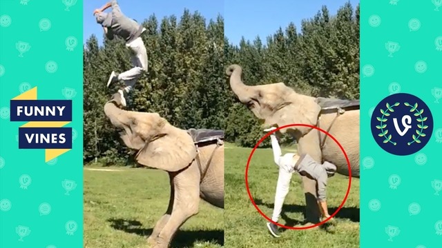 Try not to laugh – ultimate action sport fails compilation. funny vines june