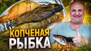 Рыба горячего копчения в домашних условиях