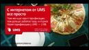 Квант тарификации интернета UMS – 1 KB