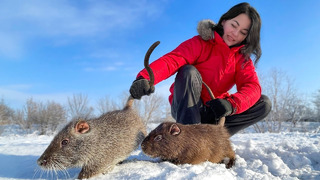 Crunchy Huge Rat in a Tandoor! Beaver, Otter, Rat or Coypu? It’s still very tasty