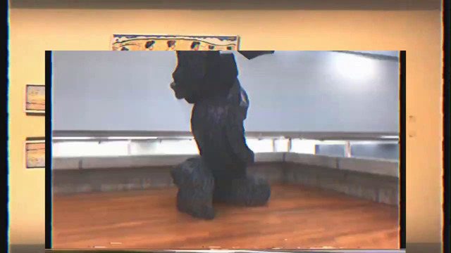 Santos Santana – Ibrahim