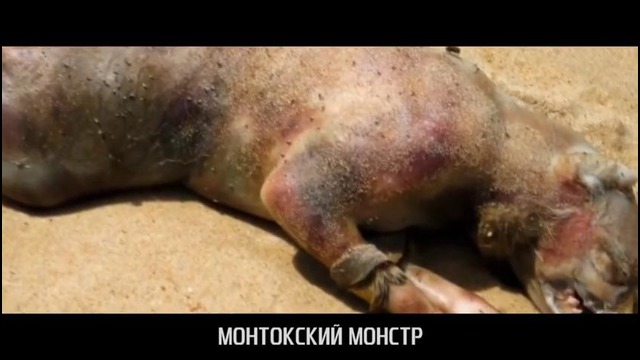 Самые страшные существа, найденные на земле