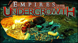 Empires of the Undergrowth №-4 (RIMPAC)