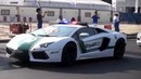 Полиция Дубая Dubai Police