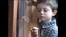 Блюз на арфе