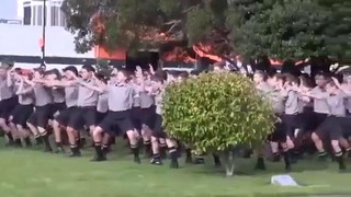 Ученики исполнили танец Хака на похоронах учителя в Новой Зеландии