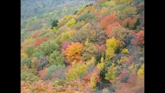 Andrea Bocelli ~ Les Feuilles Mortes (The Autumn Leaves)