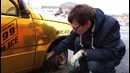 Как ездить без резины. Мнение ДПС