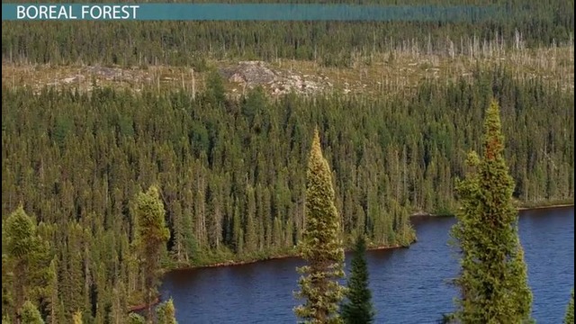 Distribution of Plants and Animals in Canada