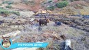 Лучшие Приколы 2017 ОКТЯБРЬ — Мамкин экспериментатор