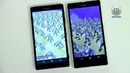 Сводный обзор смартфонов Sony: Xperia ZL, Xperia SP и Xperia Z
