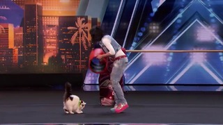 The Savitsky Cats Super Trained Cats Perform Exciting Routine