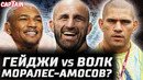 Волкановски vs Гейджи прощальный. Перейра vs Уокер. Моралес vs Амосов. Мераб – Ядонг. Харрисон уйдет