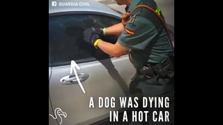 Животных и детей в машине оставлять не следует