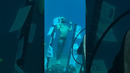 Most pull ups under water in one breath – 33 by Ramy Abdelhamid