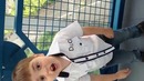 Эй ты кто такой? Вот как правильно надо говорить «Давай до свидания»