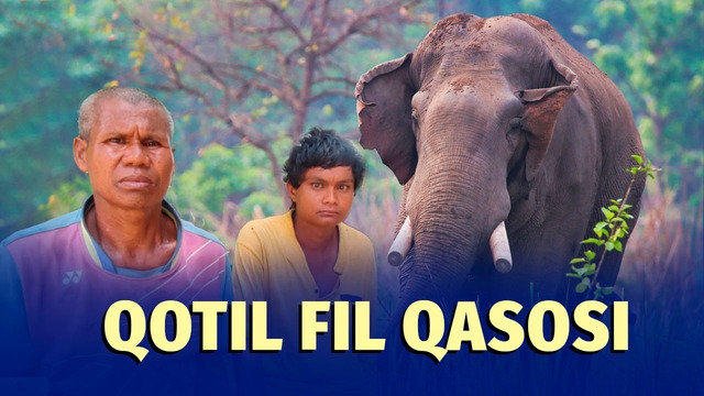 Qurbonlari 25 nafarga yetdi. Nepalni dahshatga solgan fil