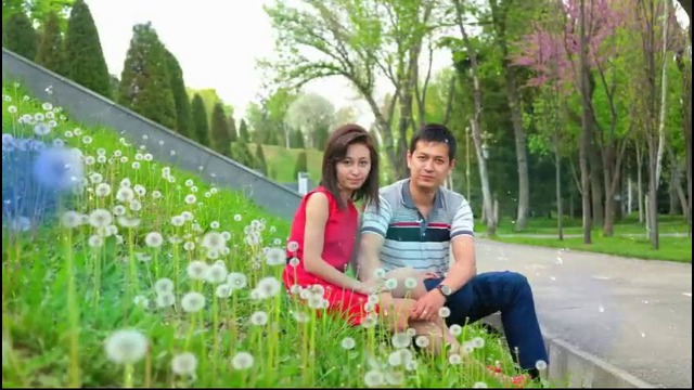 ELEGANT professional study