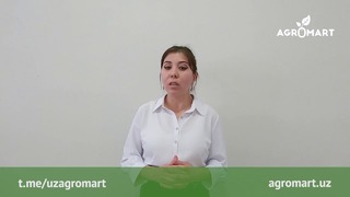 Agromart.uz | Импорт қилинган қорамолларда учрайдиган касаллик – Некробактериоз