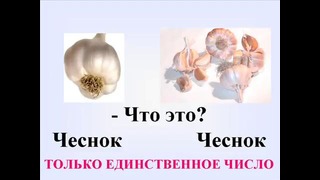 Видеоурок – "Овощи на русском языке"