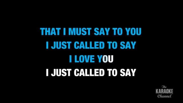 Stevie Wonder – I Just Called To Say I Love You (Karaoke)