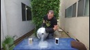 IPhone 6 Plus против жидкого азота