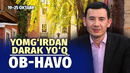 Quruq kuz, salqin tunlar, yomg‘irdan darak yo‘q (19–25 oktyabr)