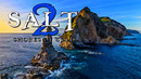 Salt 2 ▪ Shores of Gold ▪ Часть 2 (Play At Home)