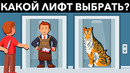 Лучшие загадки на логику, которые заставят напрячь мозг