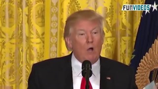 Donald Trump Singing Despacito