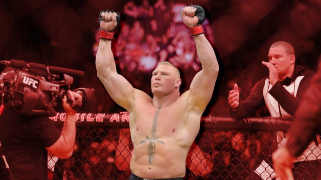 Every Brock Lesnar Finish In MMA