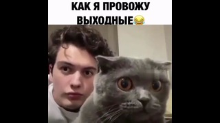 Как я провожу выходные