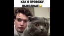 Как я провожу выходные